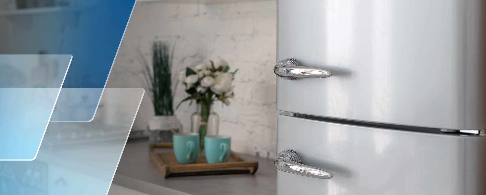 Coatings for Domestic Appliances